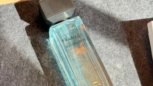 Assaf Frankel Imagination Review